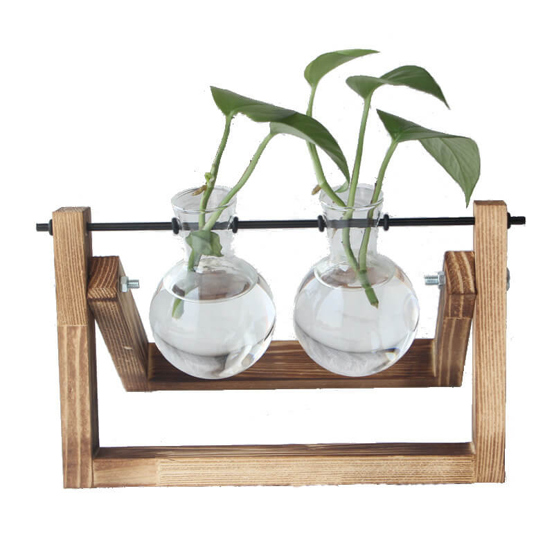 Lighteme Hydroponic Plant Glass Vase