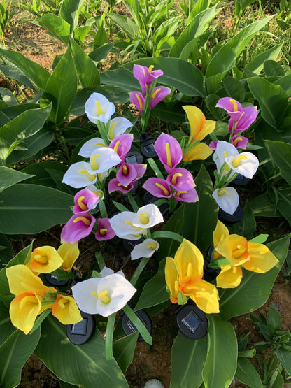 Ihrtrade Artificial Calla Lily Solar Garden Stake Lights (1 Pack of 4 Lilies)