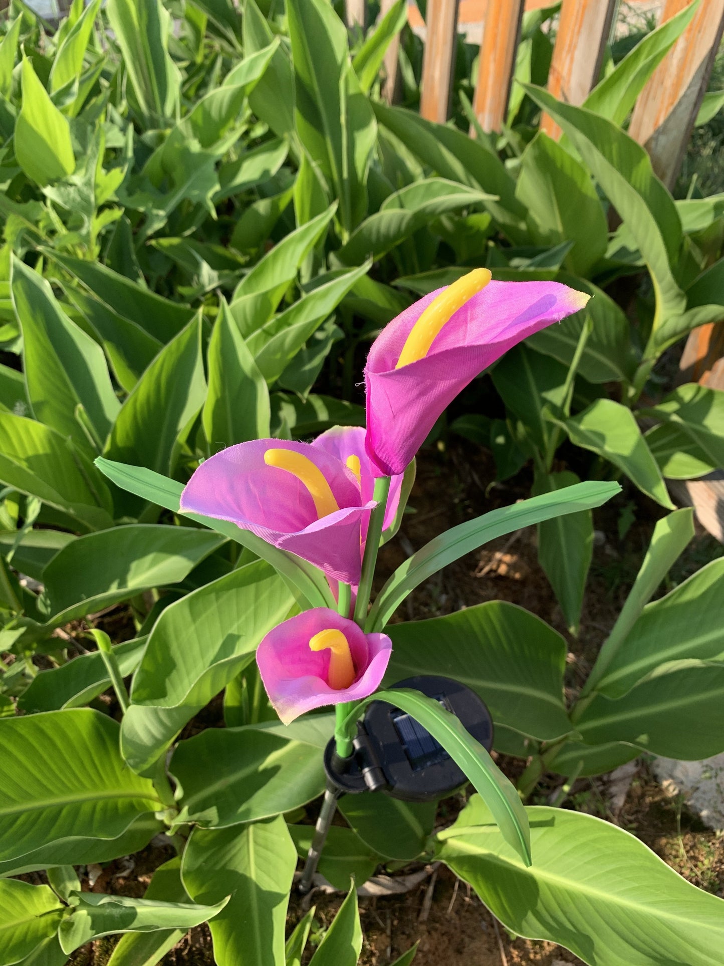 Ihrtrade Artificial Calla Lily Solar Garden Stake Lights (1 Pack of 4 Lilies)