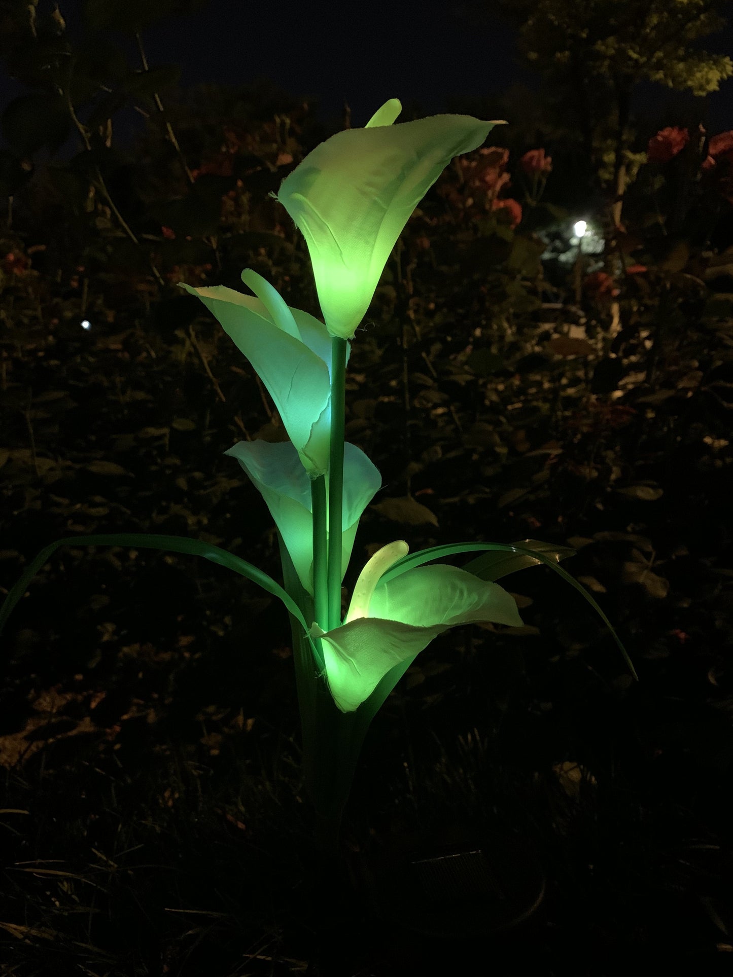 Ihrtrade Artificial Calla Lily Solar Garden Stake Lights (1 Pack of 4 Lilies)