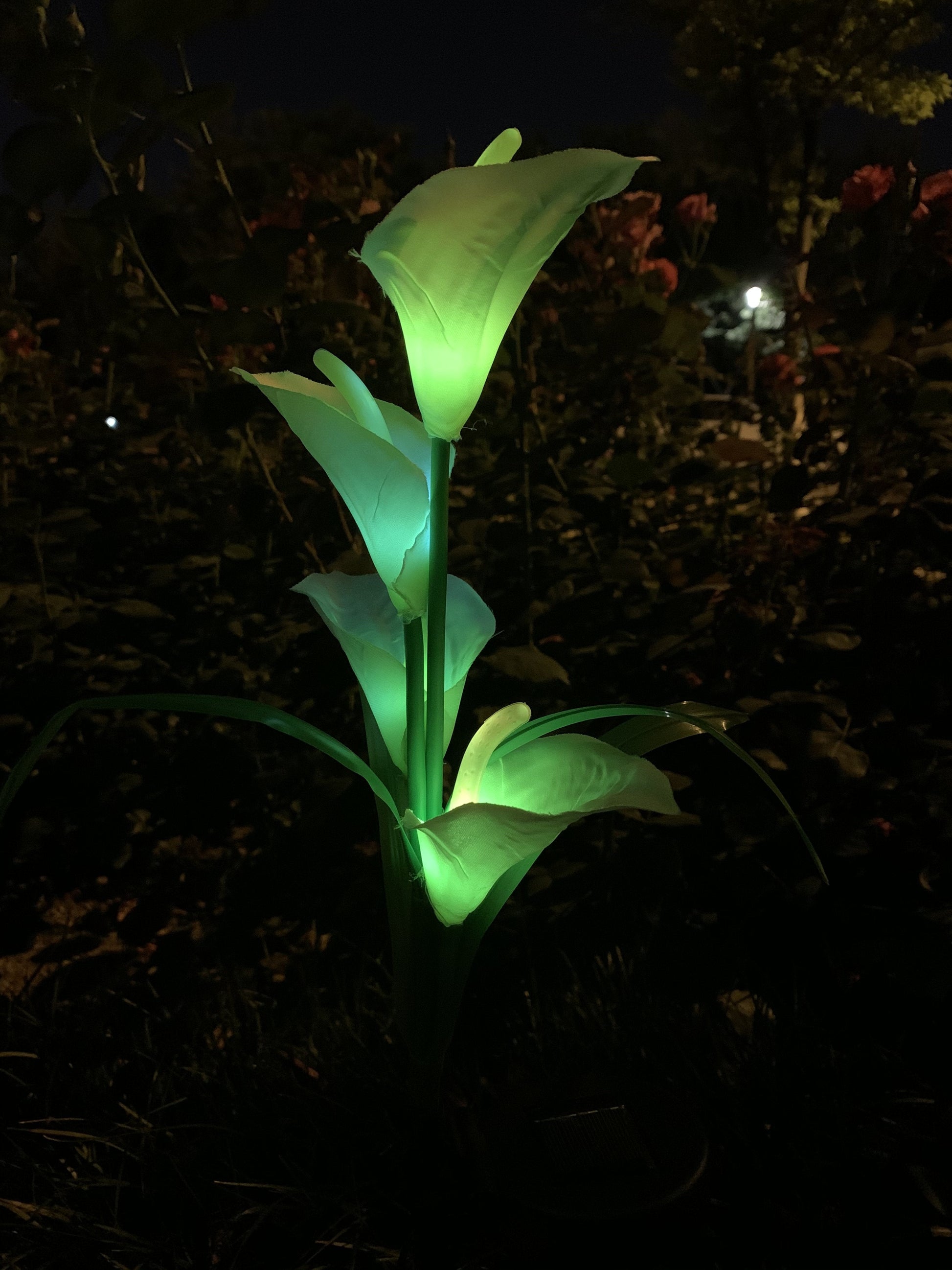 Ihrtrade Artificial Calla Lily Solar Garden Stake Lights (1 Pack of 4 Lilies)