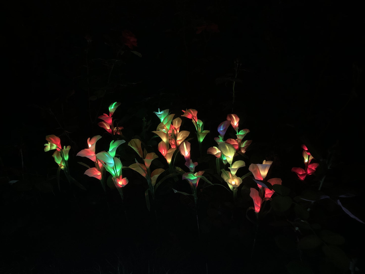 Ihrtrade Artificial Calla Lily Solar Garden Stake Lights (1 Pack of 4 Lilies)