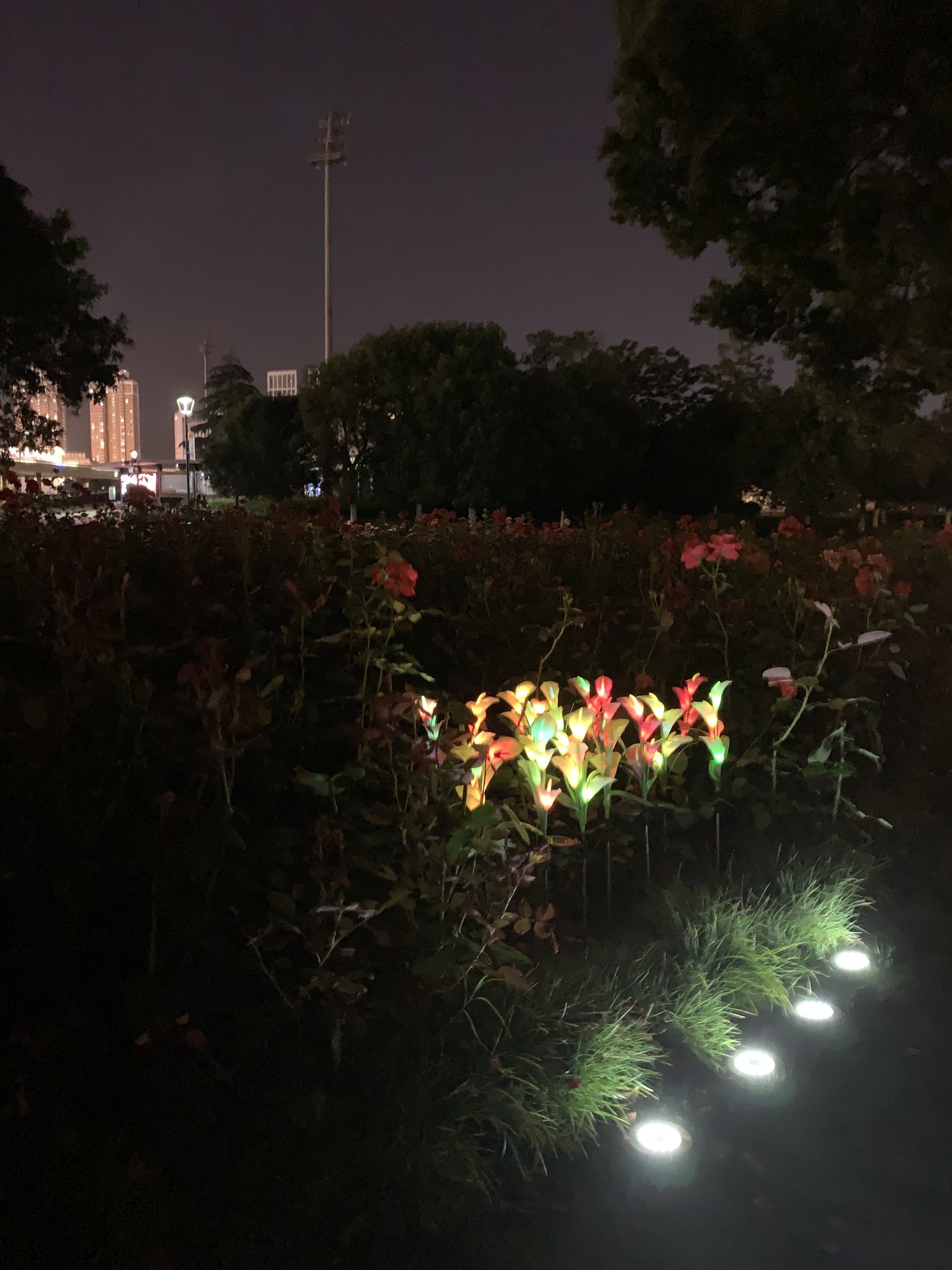 Ihrtrade Artificial Calla Lily Solar Garden Stake Lights (1 Pack of 4 Lilies)