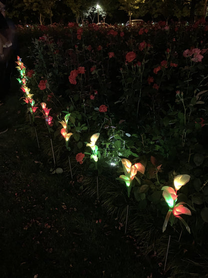 Ihrtrade Artificial Calla Lily Solar Garden Stake Lights (1 Pack of 4 Lilies)