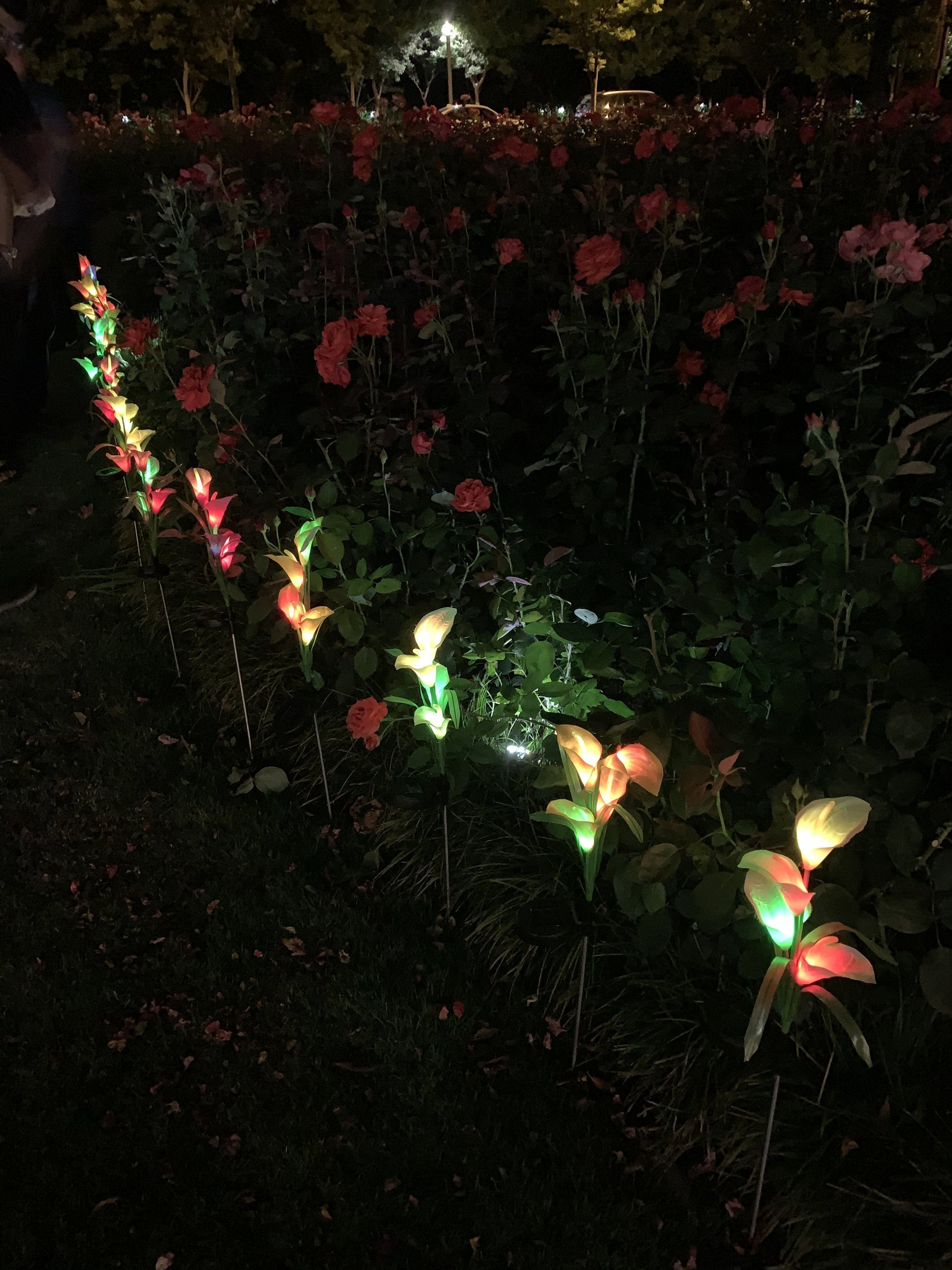 Ihrtrade Artificial Calla Lily Solar Garden Stake Lights (1 Pack of 4 Lilies)