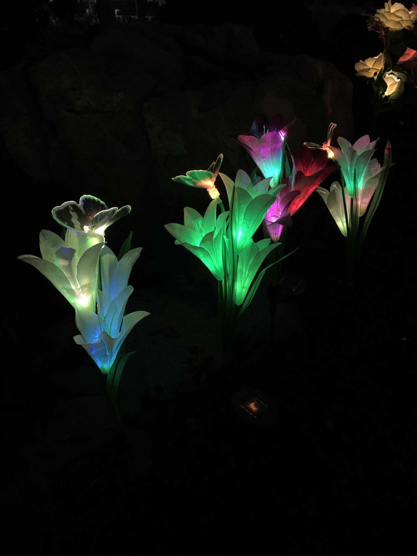Ihrtrade Artificial Lily Solar Garden Stake Lights (1 Pack of 4 Lilies) | Colored Contact Lenses