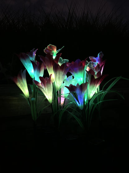 Ihrtrade Artificial Lily Solar Garden Stake Lights (1 Pack of 4 Lilies) | Colored Contact Lenses