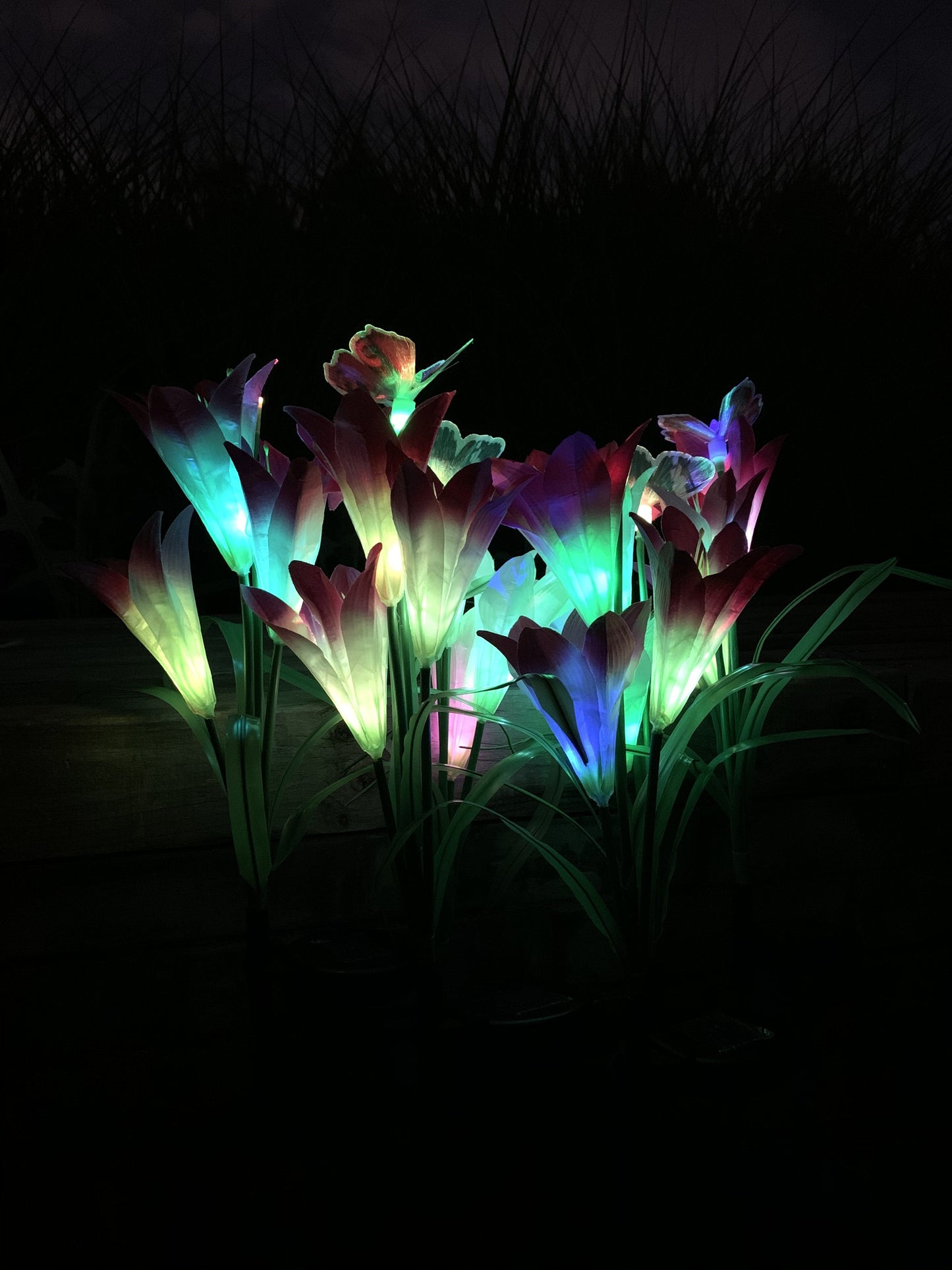 Ihrtrade Artificial Lily Solar Garden Stake Lights (1 Pack of 4 Lilies) | Colored Contact Lenses
