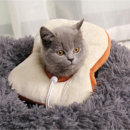 Collier anti-léchage Lighteme Lovely Medical pour chat (2 modèles)