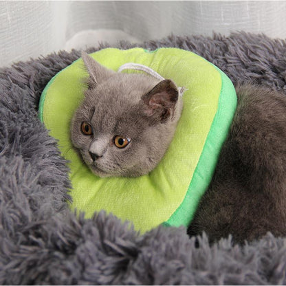 Collier anti-léchage Lighteme Lovely Medical pour chat (2 modèles)