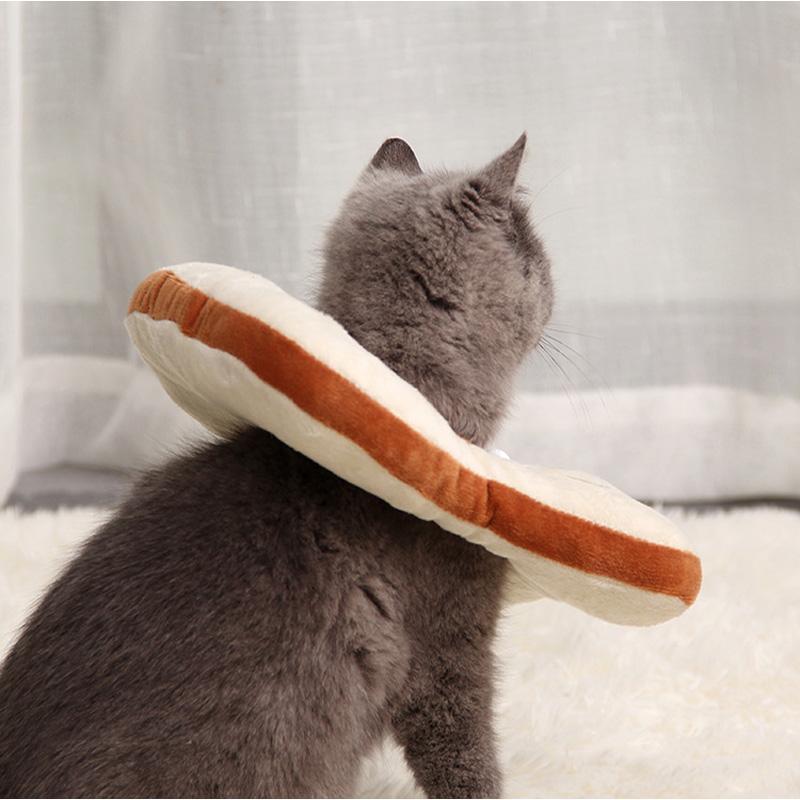 Collier anti-léchage Lighteme Lovely Medical pour chat (2 modèles)