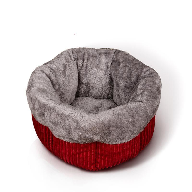 Lighteme Luxus-Kätzchenhaus, zusammenklappbar, maschinenwaschbar (5 Farben &amp; 2 Größen)