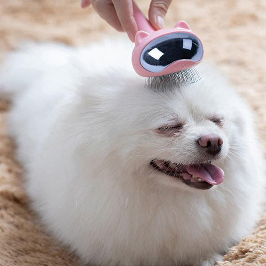 Peigne à aiguilles Lighteme, outil de toilettage pour animaux (3 couleurs)