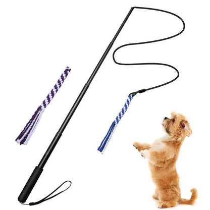 Lighteme New Telescopic Dog Teaser Training Stick (3 colors & 2 sizes)