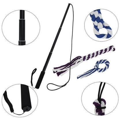 Lighteme New Telescopic Dog Teaser Training Stick (3 colors & 2 sizes)