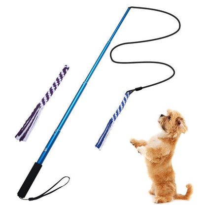 Lighteme New Telescopic Dog Teaser Training Stick (3 colors & 2 sizes)