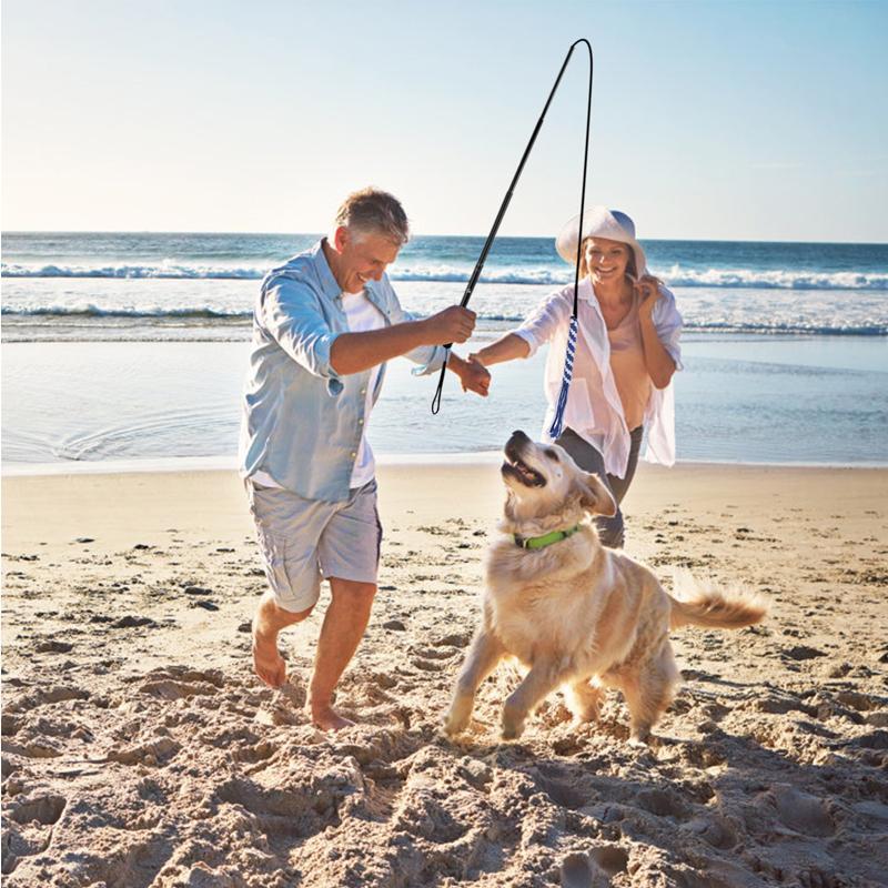 Lighteme New Telescopic Dog Teaser Training Stick (3 colors & 2 sizes)