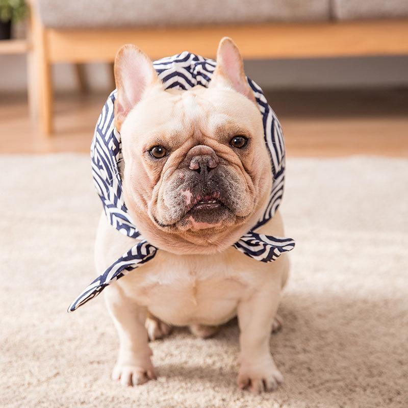 Collier en tissu Lighteme pour chiens et chats (4 couleurs et 4 tailles)