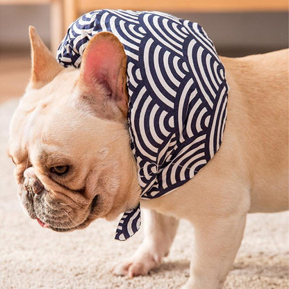 Collier en tissu Lighteme pour chiens et chats (4 couleurs et 4 tailles)