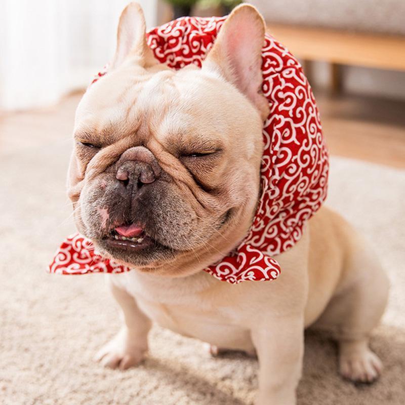 Collier en tissu Lighteme pour chiens et chats (4 couleurs et 4 tailles)