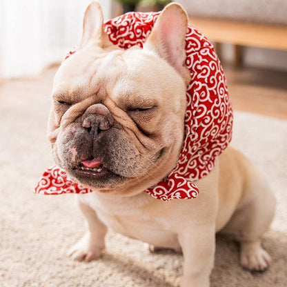 Collier en tissu Lighteme pour chiens et chats (4 couleurs et 4 tailles)