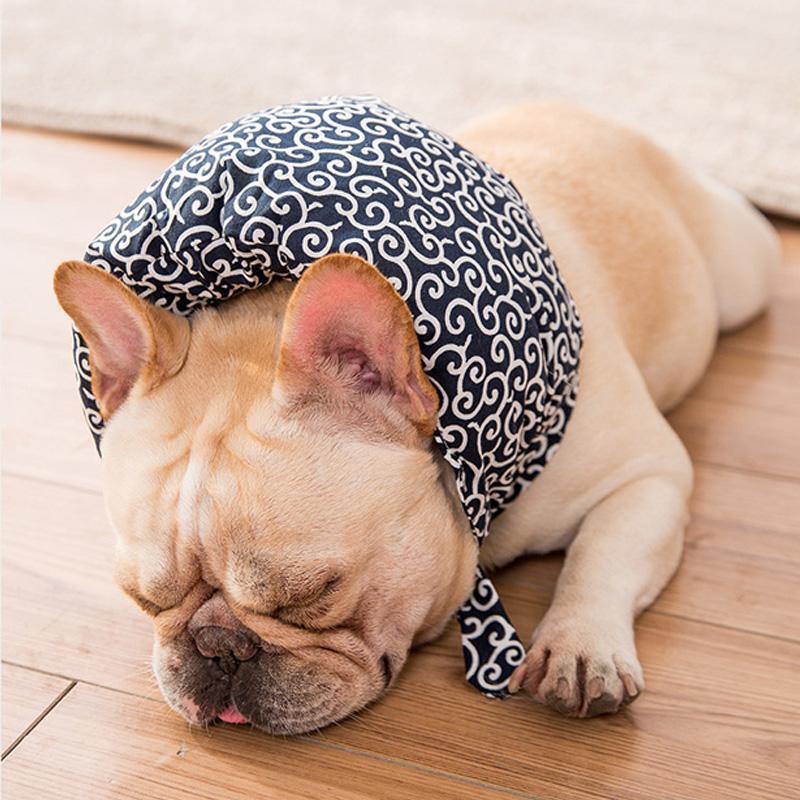 Collier en tissu Lighteme pour chiens et chats (4 couleurs et 4 tailles)