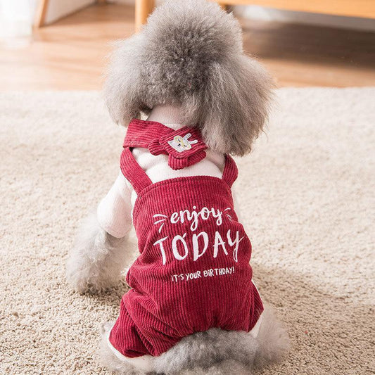 Combinaison Lighteme pour animaux de compagnie, vêtements d'hiver quotidiens pour chiens (6 tailles)