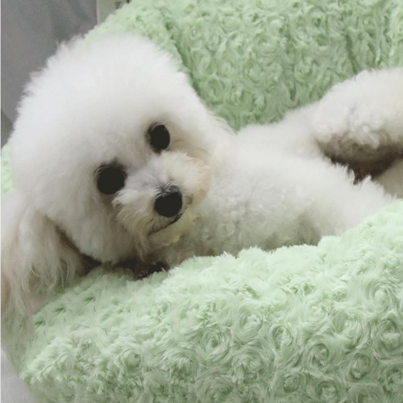 Lighteme Plüsch-Katzen- und Hundebett, flauschiges Bett für Herbst und Winter (3 Farben &amp; 3 Größen)