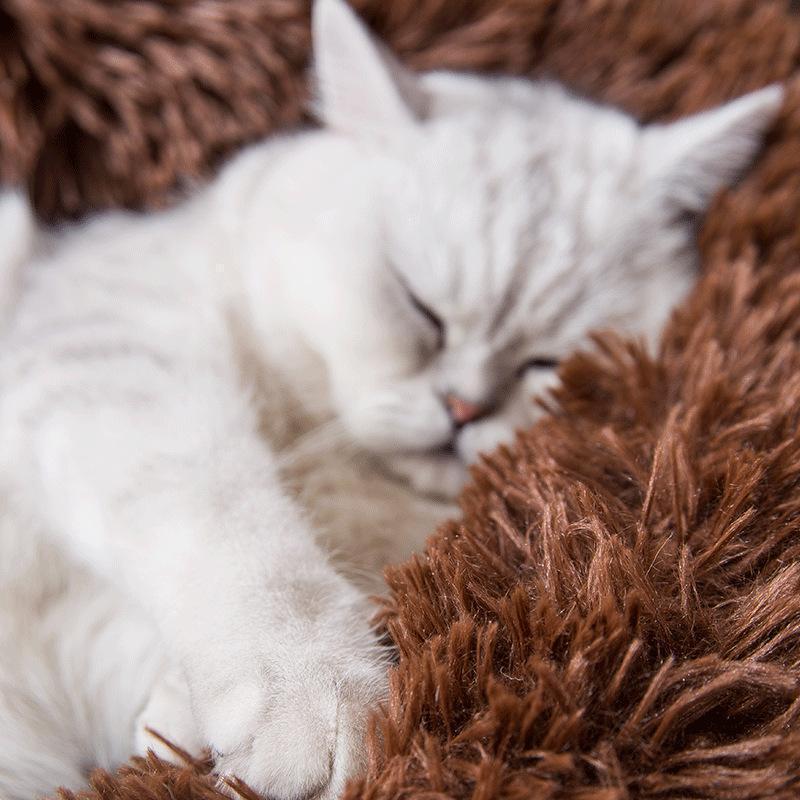 Lit rond et moelleux en forme de donut pour animaux de compagnie Lighteme Plush (3 couleurs et 2 tailles)