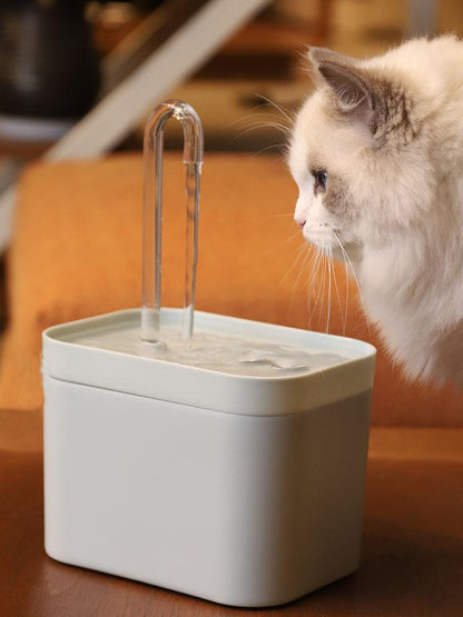 Fontaine à eau automatique Lighteme pour animaux de compagnie