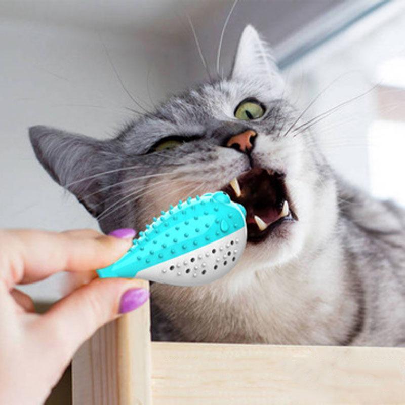 Bâtonnet dentaire amusant Lighteme Simulation Fish (3 couleurs)