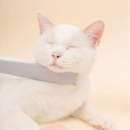 Lighteme Simulation Tongue Daily Hair Care Massage Comb (2 colors)