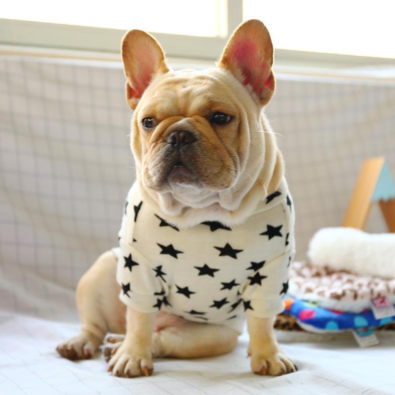 Lighteme Stars Strick-Hundebekleidung mit Rundhalsausschnitt (2 Farben &amp; 4 Größen)