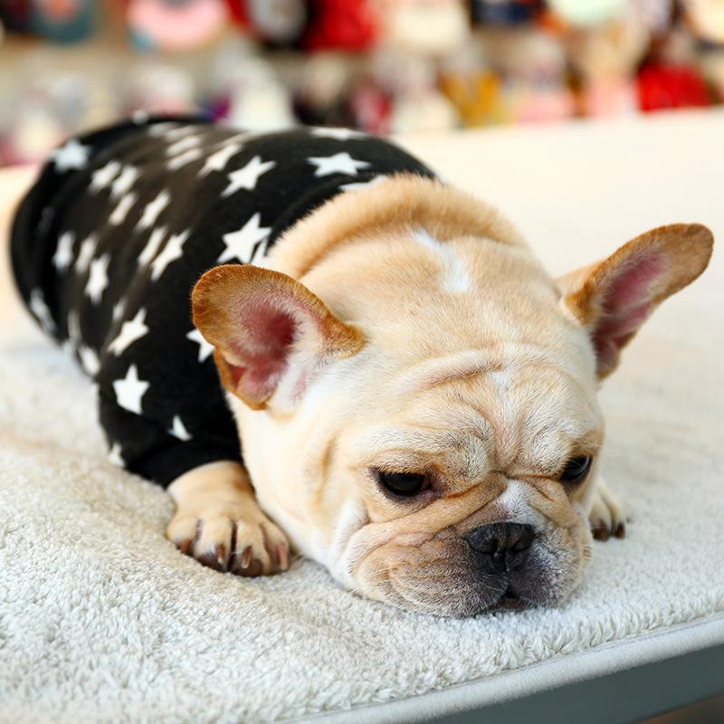 Lighteme Stars Strick-Hundebekleidung mit Rundhalsausschnitt (2 Farben &amp; 4 Größen)
