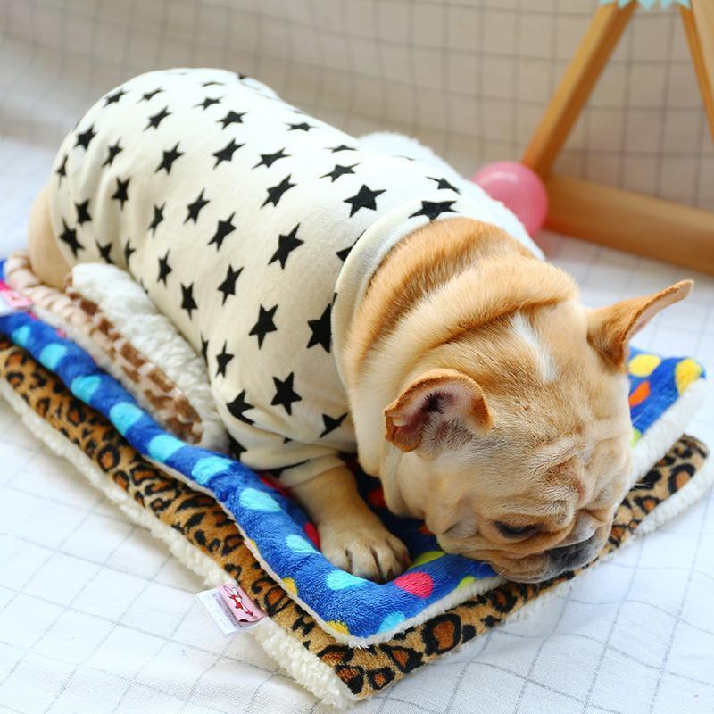 Lighteme Stars Strick-Hundebekleidung mit Rundhalsausschnitt (2 Farben &amp; 4 Größen)