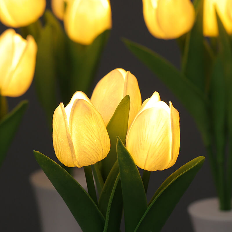 Lighteme Tulip Night Lamp