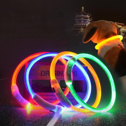 Lighteme USB Charging LED Flashing Safety Dog Collar (7 colors & 3 sizes)