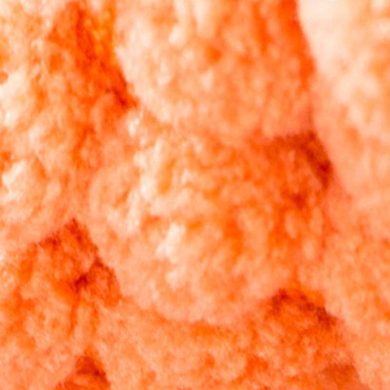 Niche chaude d'hiver Lighteme pour chiots