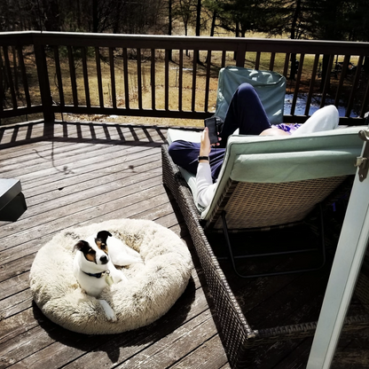 Lighteme Cozy Paws Beruhigungsbett