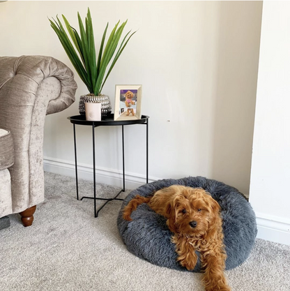 Lighteme Cozy Paws Beruhigungsbett