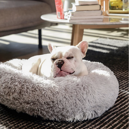 Lighteme Cozy Paws Beruhigungsbett