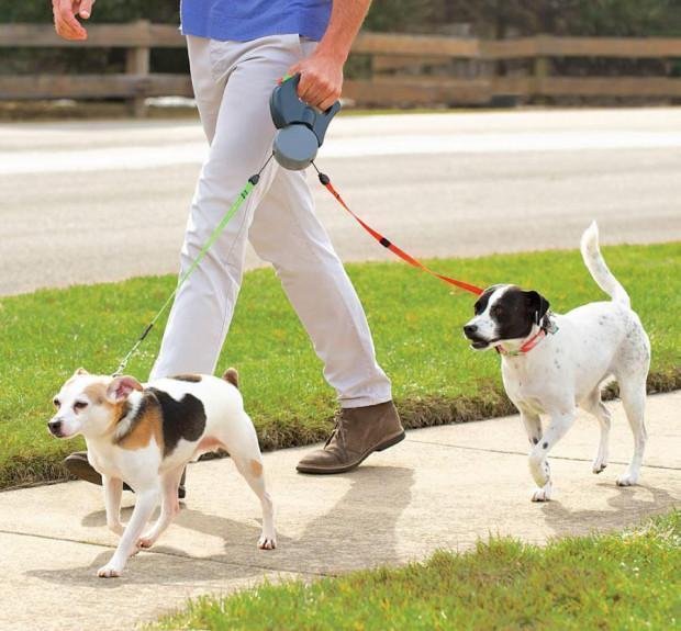 Laisse Lighteme pour deux chiens (3 couleurs)
