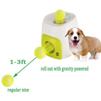 Machine à récompenses alimentaires Lighteme