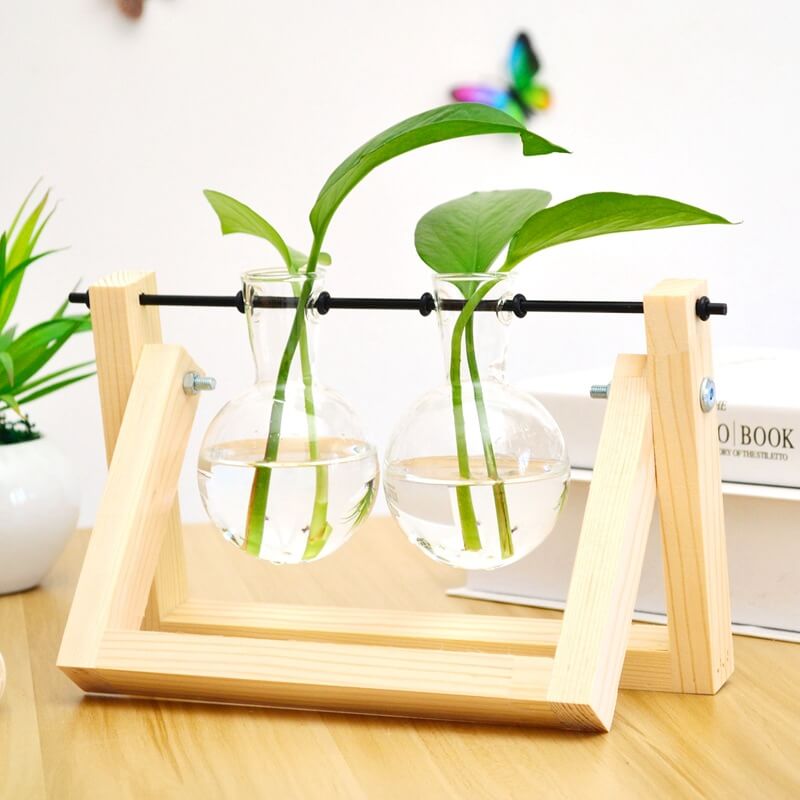 Lighteme Wooden Frame Hydroponic Vase