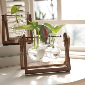 Lighteme Hydroponic Plant Glass Vase